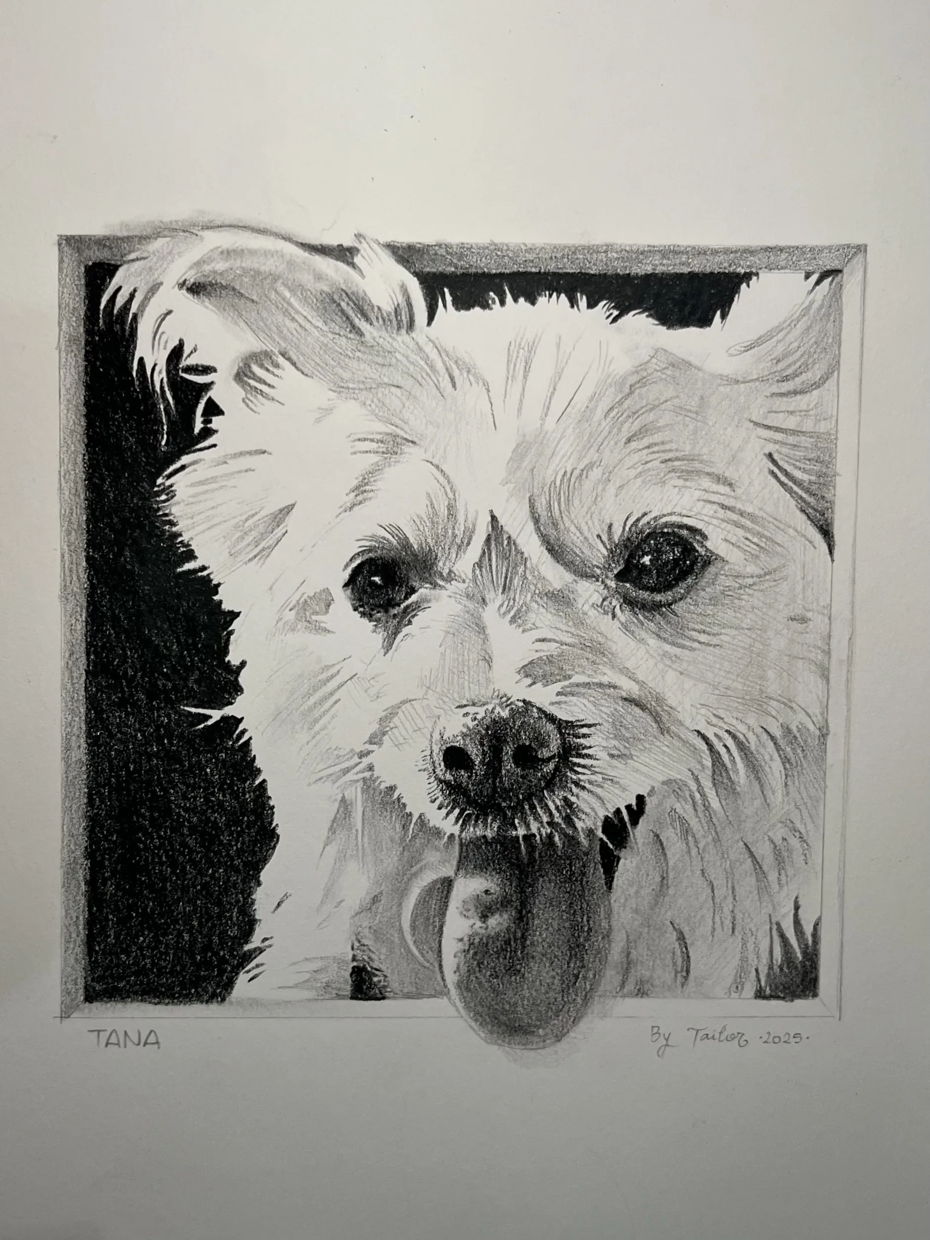 Obra de arte 8